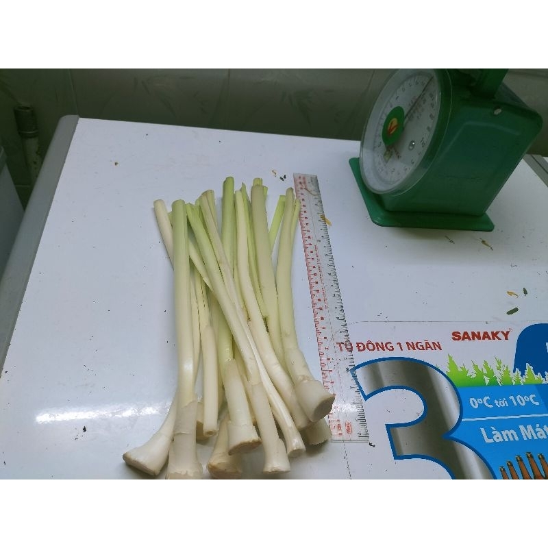 Bồn bồn tươi 1kg