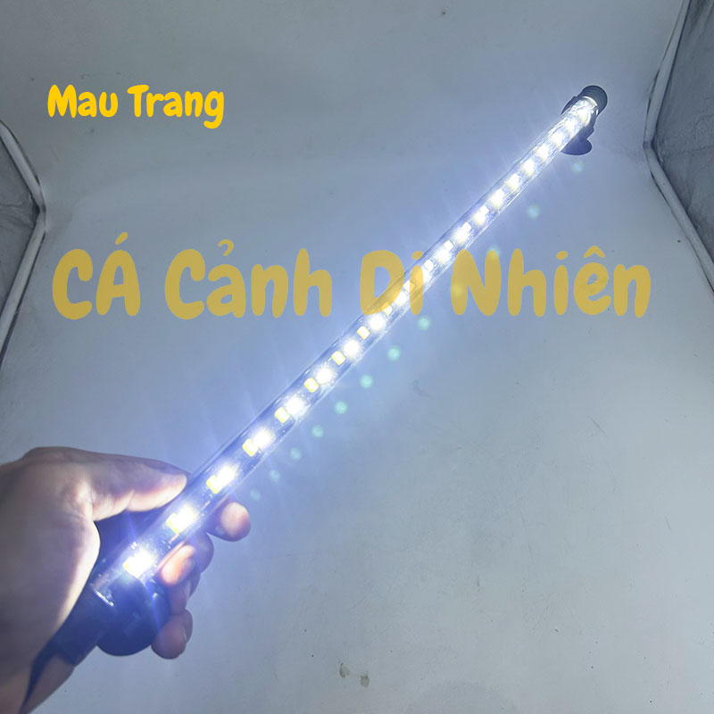 Đèn LED cho hồ cá dài 60 - 70 cm nhiều màu T4-600LED để dưới nước 9w