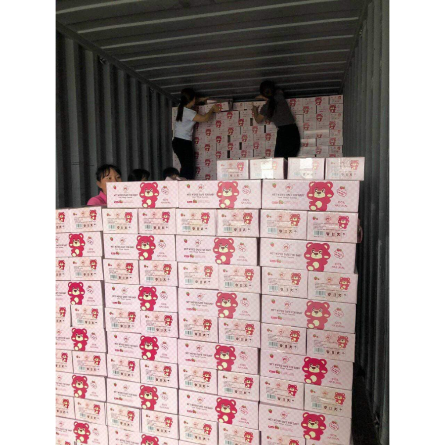 Thùng 10 gói khăn giấy ướt LOTSO mềm mịn, không mùi, không chất bảo quản, an toàn khi sử dụng