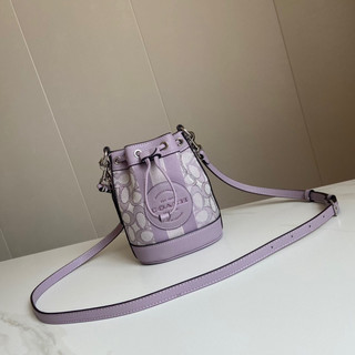 Túi Coach dempsey mini