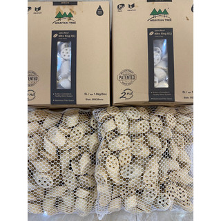 Sứ lọc Moutantree/Nitro Ring II (MTF210)