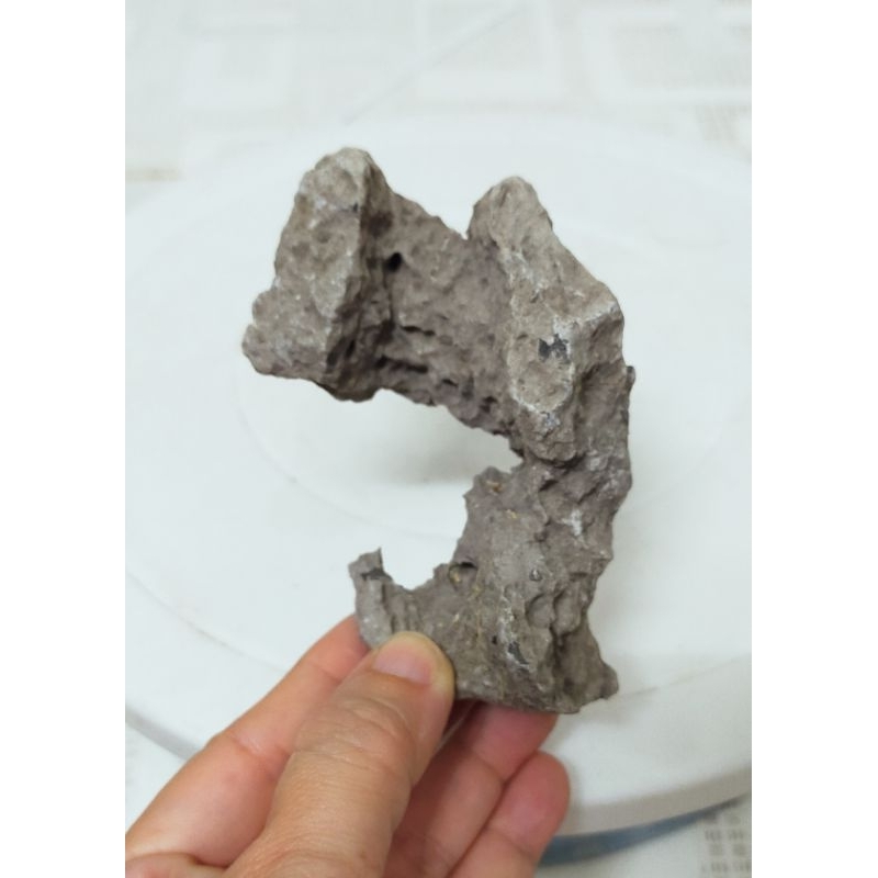 1 viên Đá ghép cây bonsai cao 8cm-10cm