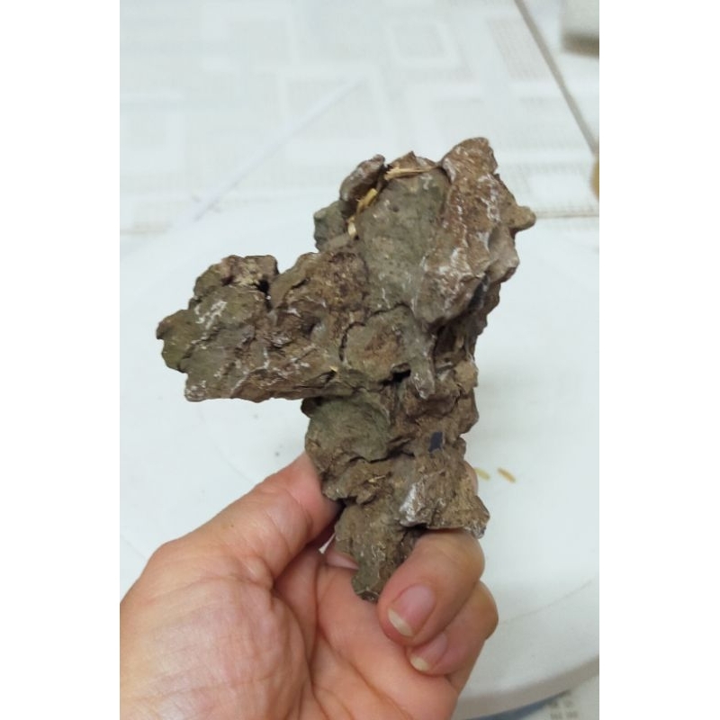 1 viên Đá ghép cây bonsai cao 8cm-10cm