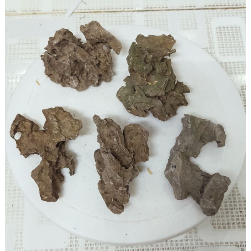 1 viên Đá ghép cây bonsai cao 8cm-10cm