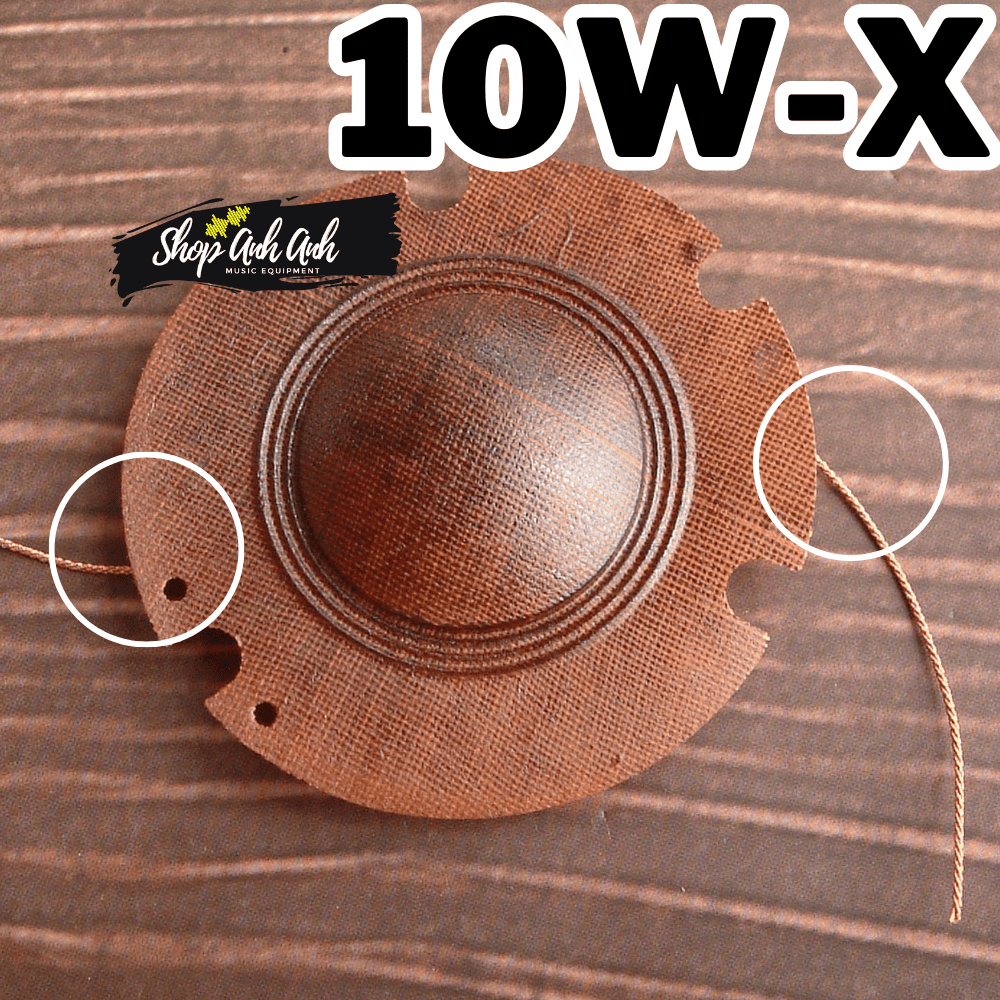 Coil Loa Phóng Thanh