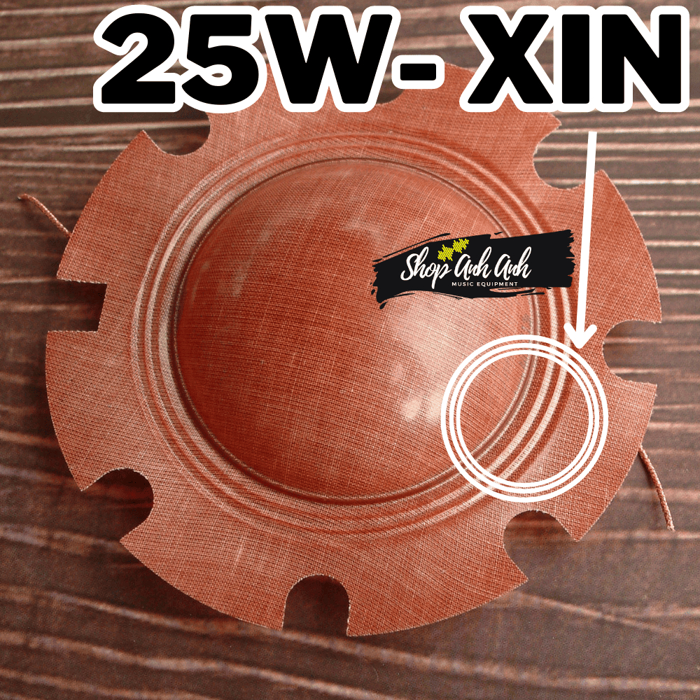 Coil Loa Phóng Thanh