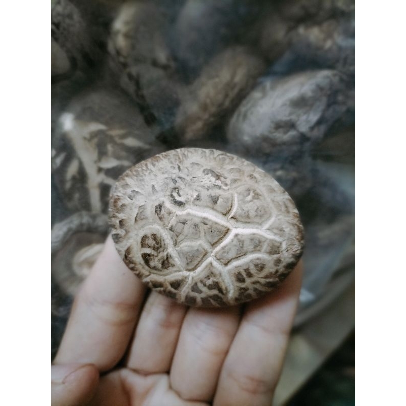 Nấm Đông Cô size đại đã bỏ chân