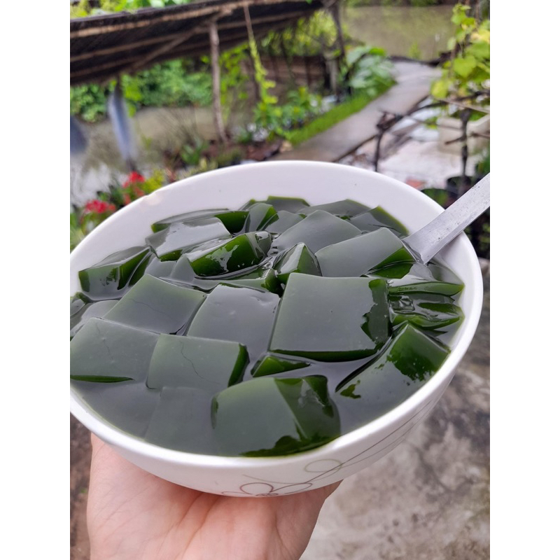 Cây giống sương sâm