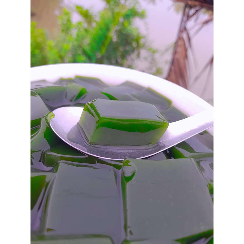 Cây giống sương sâm