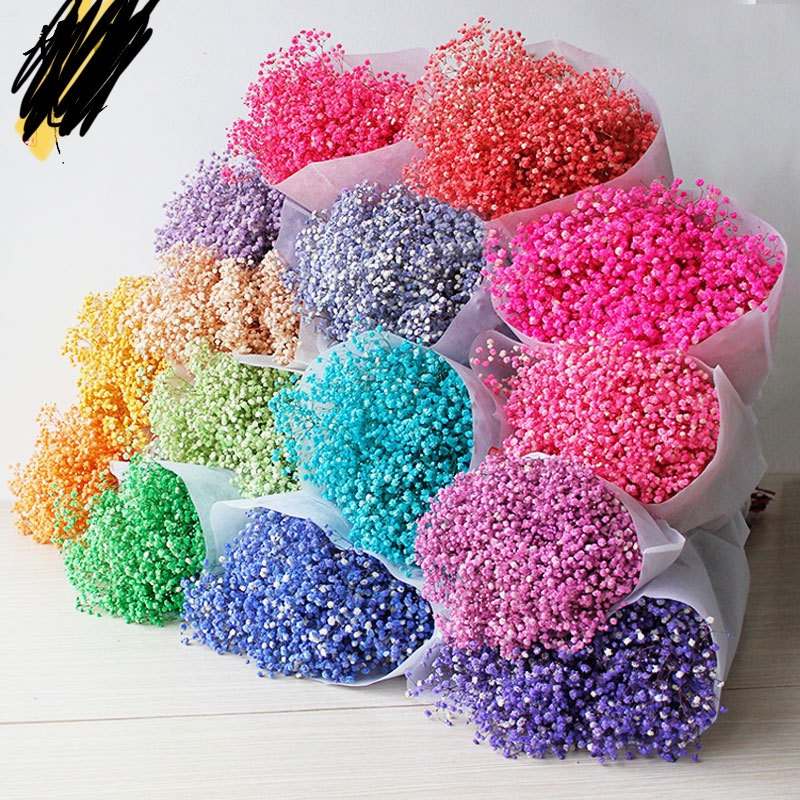 Hoa baby khô quà tặng ❤️FREESHIP❤️ Hoa khô trang trí nhà cửa, làm đồ decor handmade, 400g