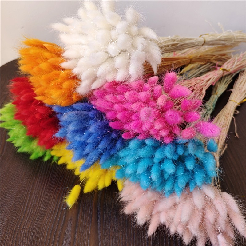 Cỏ đuôi thỏ khô trang trí ❤️FREESHIP❤️ Hoa khô decor phụ kiện trang trí chụp ảnh, quà tặng