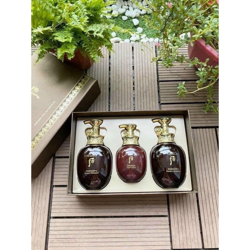Set dầu gội xả đông y Whoo hoàng Cung Whoospa