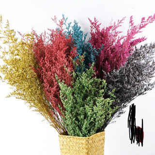 Hoa sao đuôi công - sao ngồng = Hoa khô Decor