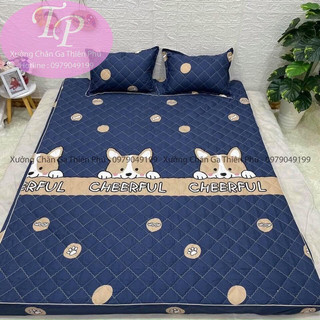 Ga Chun Lẻ Trần Bông Dày Dặn Coton Poly Đủ Kích Thước : 1m2/1m6/1m8/2m2 - Được Chọn Mẫu
