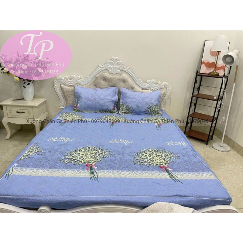 Bộ Ga Chun + 2 Vỏ Gối Trần Bông Siêu Dày Dặn Đủ Kích Cỡ 1m6/1m8/2m2