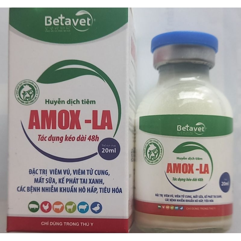 20ml-100ml Amox- LA dùng cho gia súc gia cầm