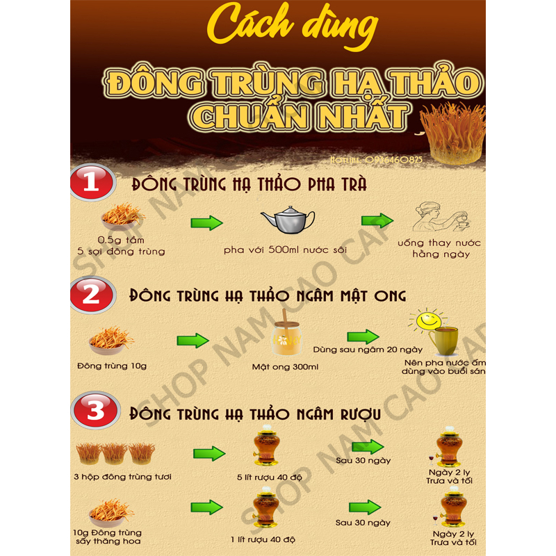 Đông Trùng Hạ Thảo Sức Khỏe Vàng Lọ 35g Sấy Thăng Hoa