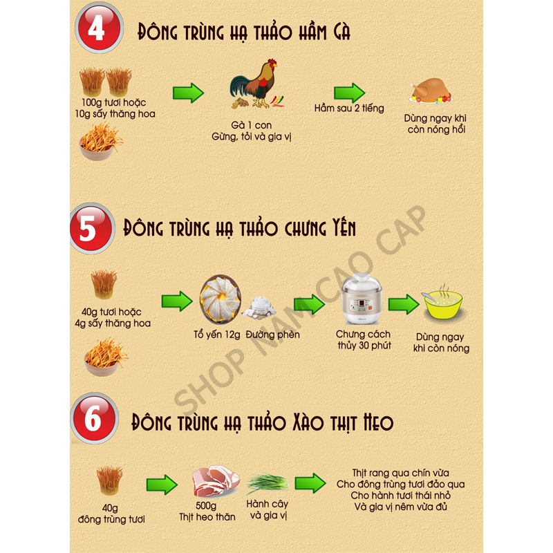 Đông Trùng Hạ Thảo Sức Khỏe Vàng Lọ 35g Sấy Thăng Hoa