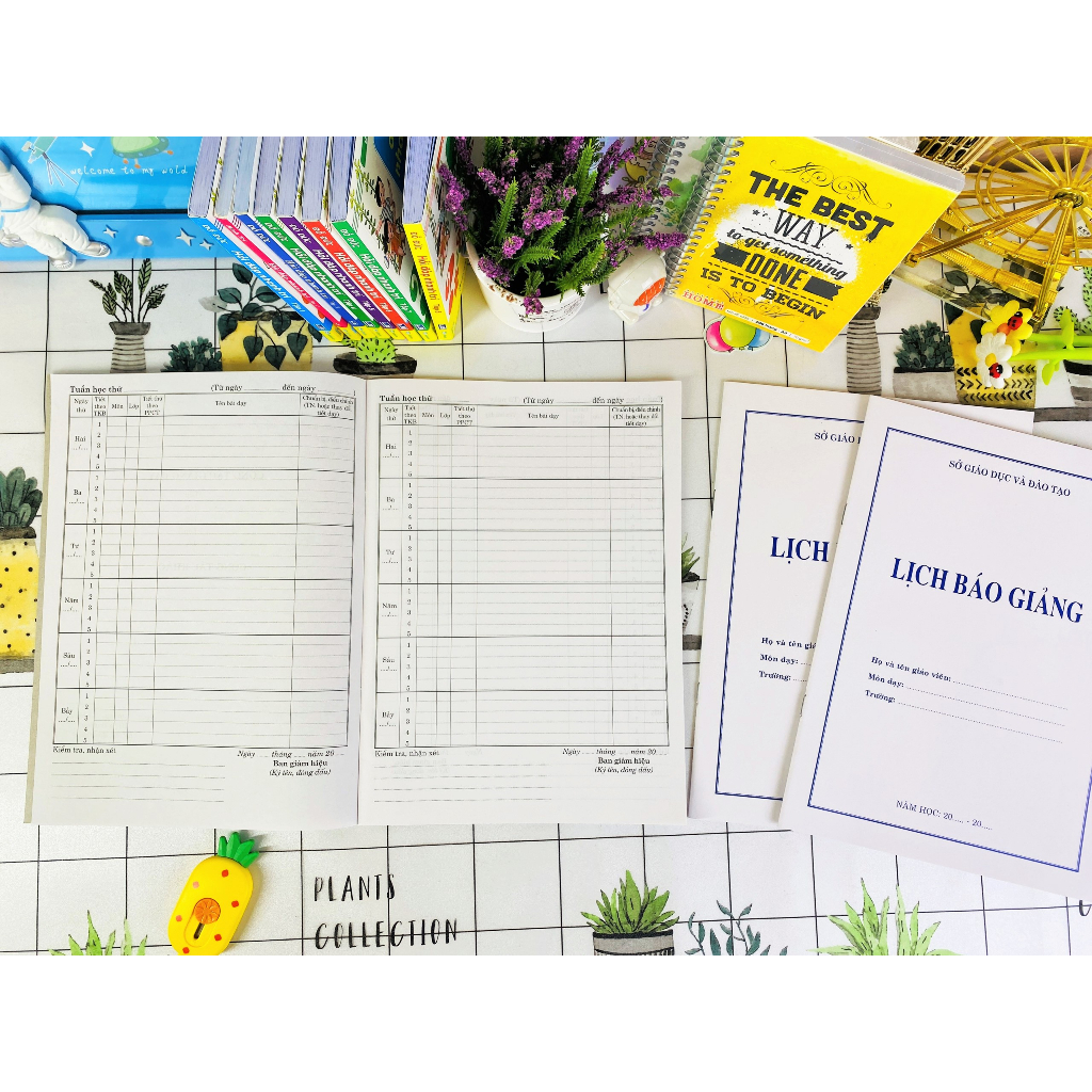 Sách ND - Combo 5 cuốn Lịch báo giảng