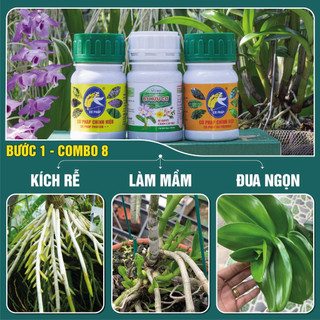 Bước 1 combo8 100 - phân bón kích rễ, mầm, phục hồi cây yếu, phát triển thân lá trên hoa cảnh