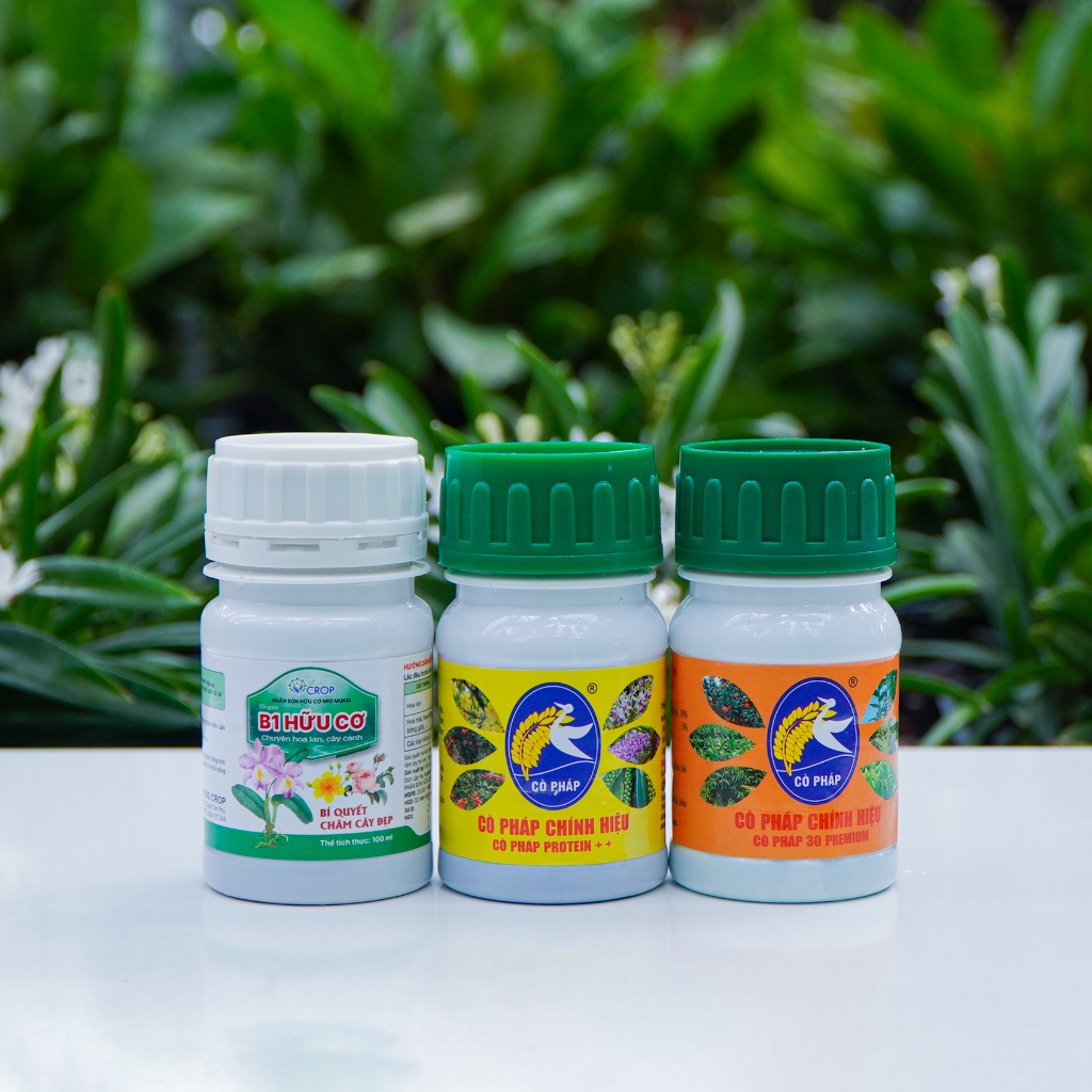 COMBO8 100 - Phân Bón Chăm Hoa Lan, Cây Cảnh Ở Mọi Giai Đoạn