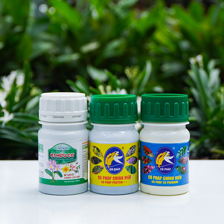 COMBO8 100 - Phân Bón Chăm Hoa Lan, Cây Cảnh Ở Mọi Giai Đoạn