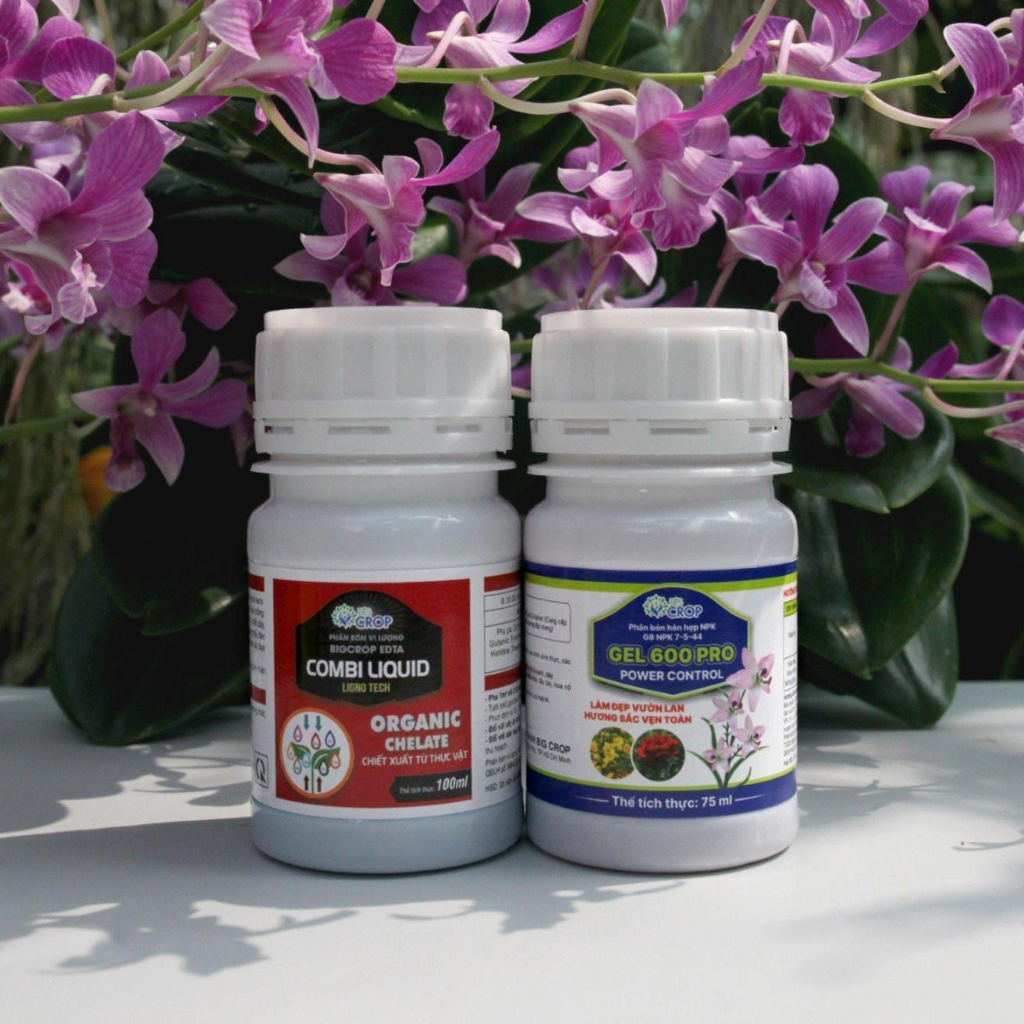 COMBO8 100 - Phân Bón Chăm Hoa Lan, Cây Cảnh Ở Mọi Giai Đoạn
