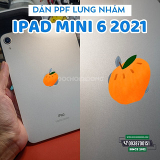 Miếng dán PPF Hydorgen iPad Mini 6 2021 trong, nhám cao cấp