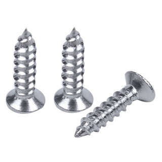 100g đầu vít dẹt bằng thép không gỉ 20mm x 5mm