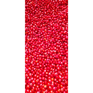 100gram hạt giống muồng ràng ràng