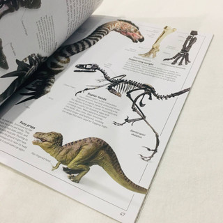 Sách Tiếng Anh - DK Eyewitness Dinosaur