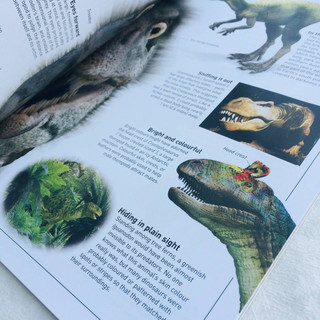Sách Tiếng Anh - DK Eyewitness Dinosaur