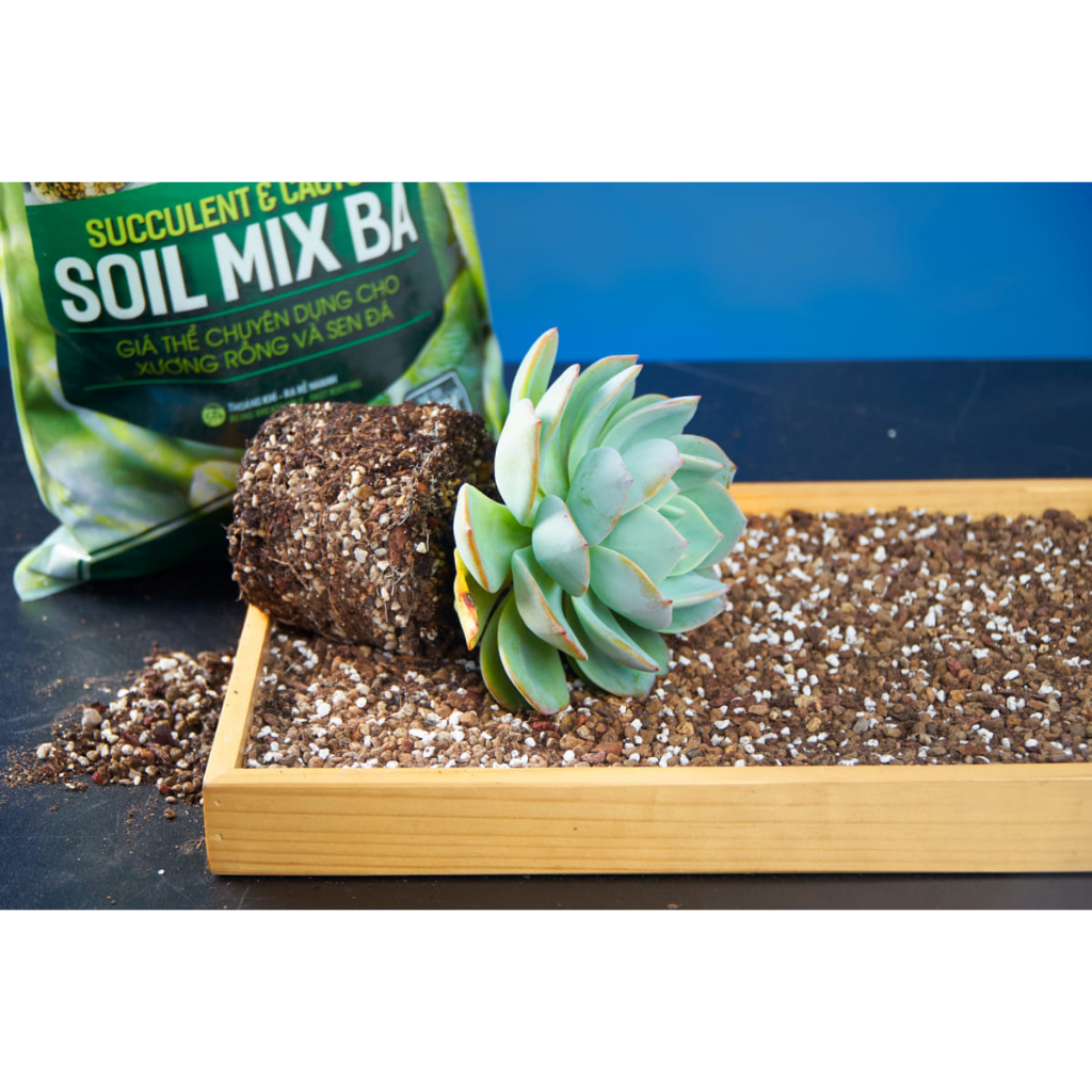 Soil Mix - Đất trồng sen đá trộn sẵn từ các loại đá khoáng