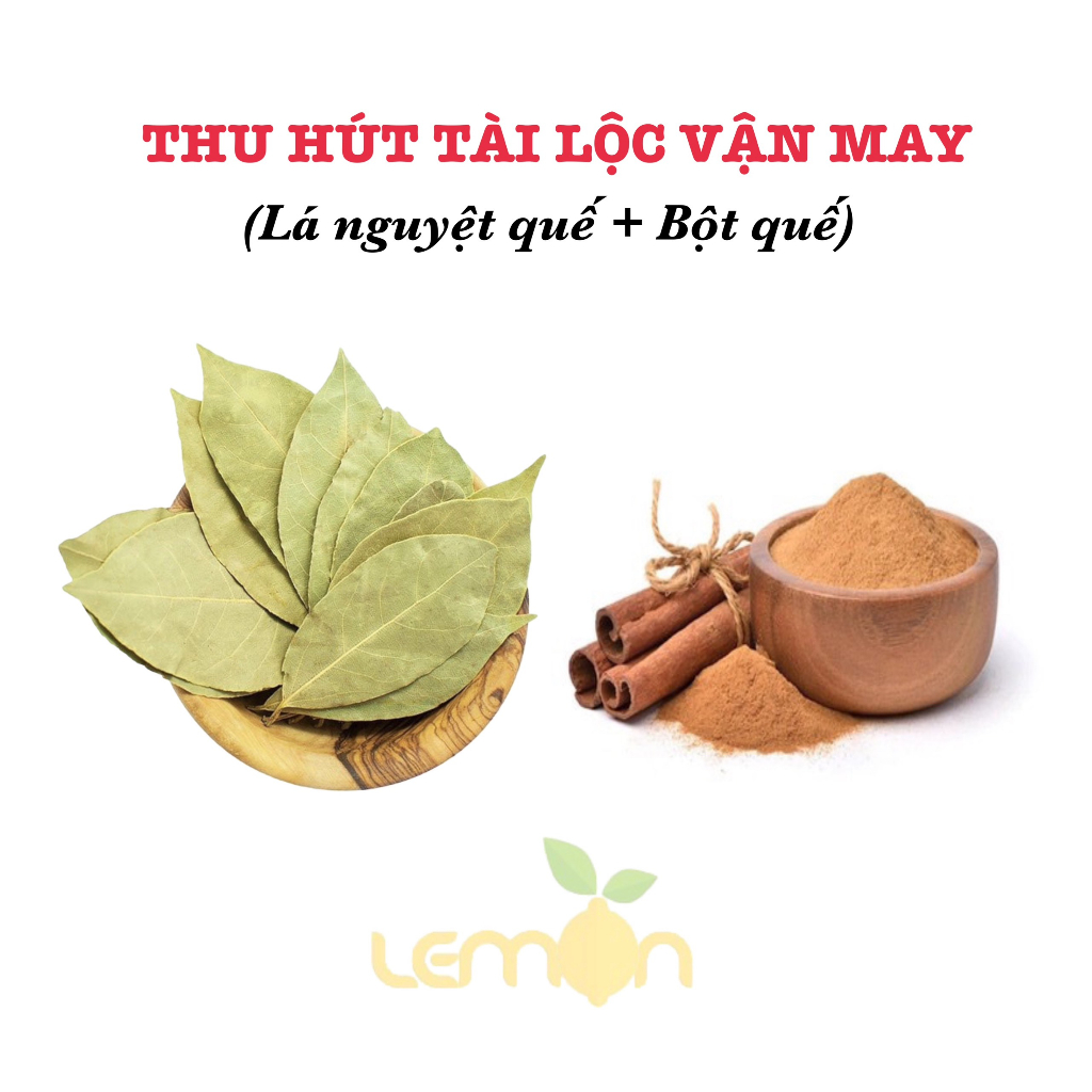 Lá nguyệt quế đẹp - Combo lá nguyệt quế thu hút tài lộc, vận may