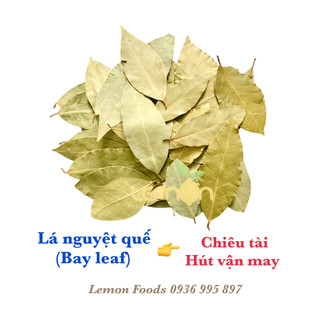 Lá nguyệt quế loại đẹp - Bay leaf - Lá nguyệt quế phong thủy, chiêu tài, hút vận may, chữa lành, làm sigil