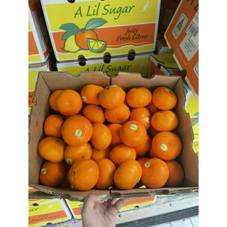 Quýt chuẩn úc 1kg