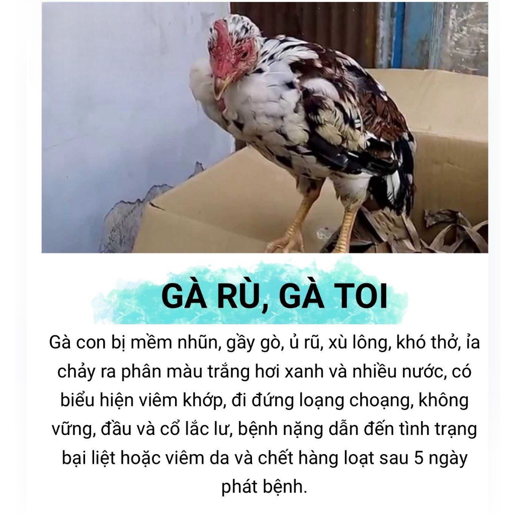 Trị phân xanh trắng , khò khè , chảy nước mũi , sưng đầu mặt và bọt mắt cho gà siêu đỉnh