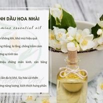 Tinh Dầu Hoa Nhài