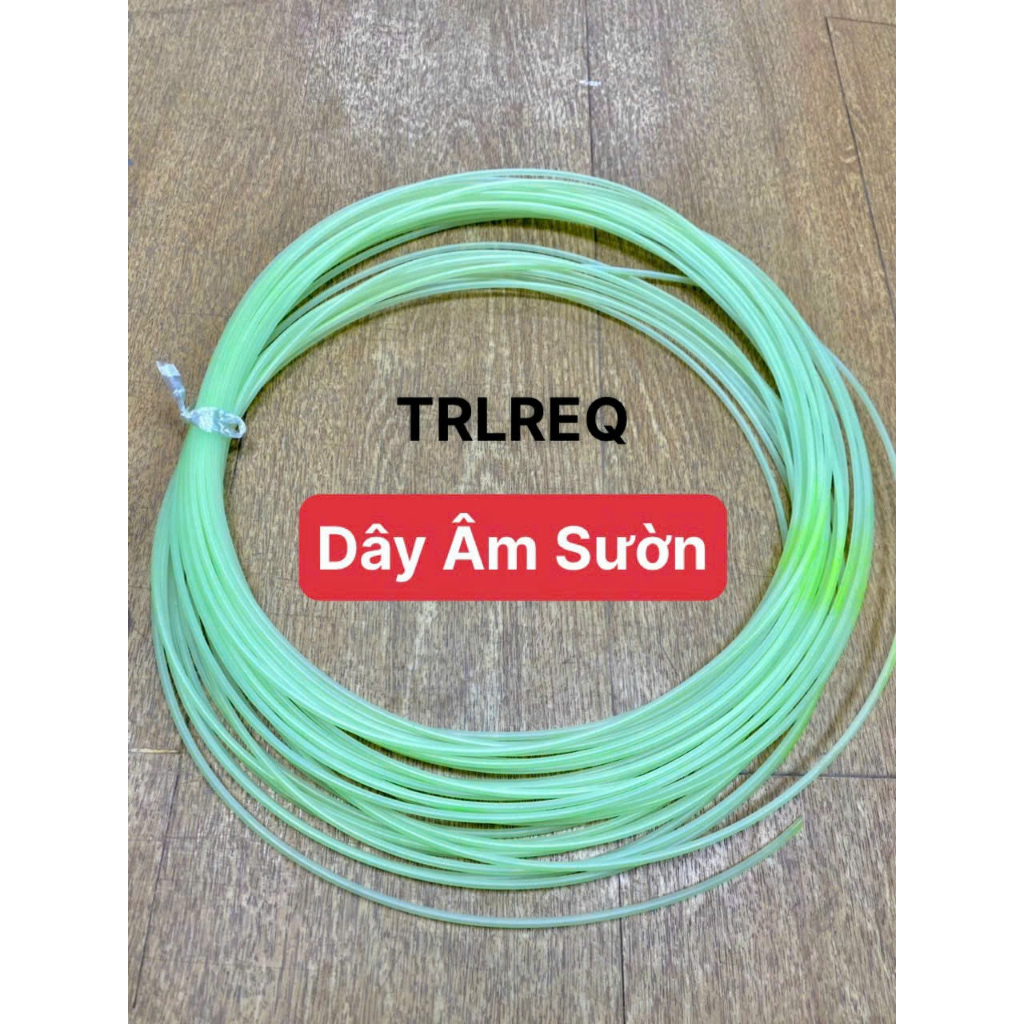 DÂY LUỒN ÂM SƯỜN .