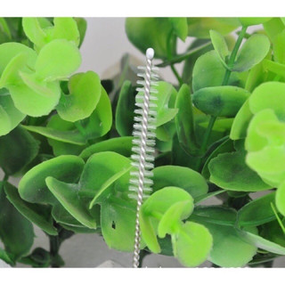 Cọ thông rửa ống hút