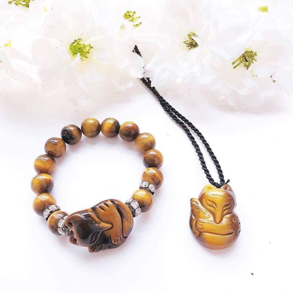 HL tam vỹ Zàng