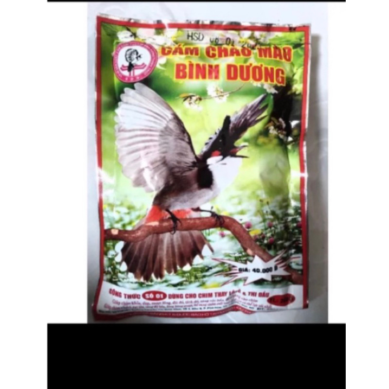 Cám chào mào bình dương số 1