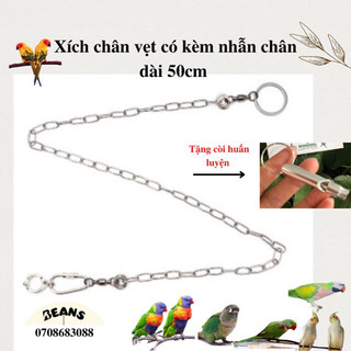 Xích chân vẹt inox như sun, ngực hồng, Xám và vẹt xích thái, xích ấn, cockatoo, amazon và macaw nhỏ kèm nhẫn