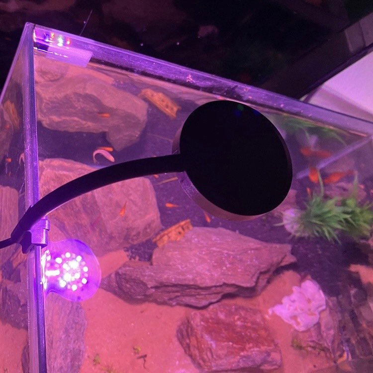 Đèn Led Kẹp Nano Aquarium Kẹp Thành Hồ cá cảnh, Hồ Thủy sinh, Đèn 3 Chế Độ