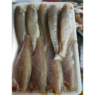 Cá đù 1 nắng khay 500gr (Ship hỏa tốc HCM)
