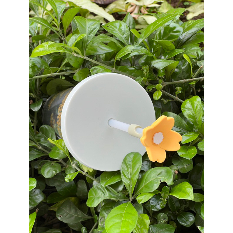 Cold Cup Starbucks Stopper Bông Hoa - 16OZ