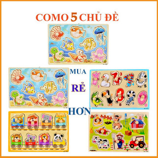 Combo 5 chủ đề bảng gỗ ghép hình có núm cho bé