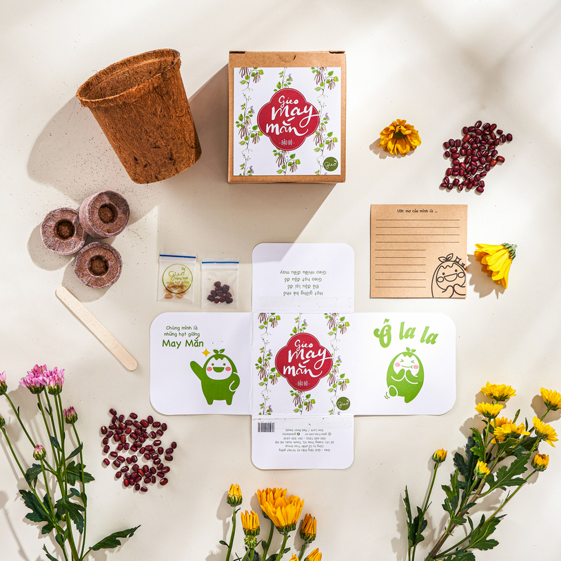Bộ kit trồng cây gieo hạt - Hạt đậu đỏ - Gieo May Mắn