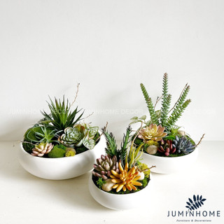 Cây giả Decor - Chậu sen đá bát Decor Trang trí để bàn