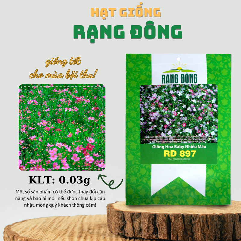 Hạt giống Hoa Baby Nhiều Màu Dễ Trồng, Dùng Làm Hoa Khô Trang Trí - Hạt giống Rạng Đông